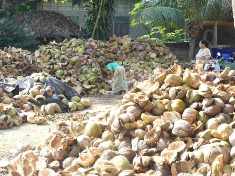 An der Golfküste | Radriesschen